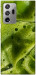 Чохол Ice matcha для Galaxy Note 20 Ultra