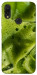 Чохол Ice matcha для Xiaomi Redmi 7