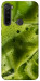 Чохол Ice matcha для Xiaomi Redmi Note 8T