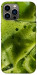 Чохол Ice matcha для iPhone 13 Pro Max