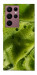 Чохол Ice matcha для Galaxy S22 Ultra