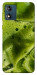 Чохол Ice matcha для Motorola Moto E13