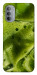 Чехол Ice matcha для Motorola Moto G31