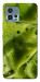 Чехол Ice matcha для Motorola Moto G72