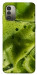 Чохол Ice matcha для Nokia G11