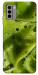 Чохол Ice matcha для Nokia G22