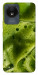 Чохол Ice matcha для Vivo Y02