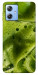 Чехол Ice matcha для Motorola Moto G84