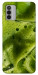 Чохол Ice matcha для Nokia G42