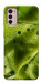 Чохол Ice matcha для Motorola Moto G42