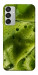 Чехол Ice matcha для Galaxy M15 5G