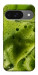 Чехол Ice matcha для Google Pixel 10
