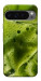 Чехол Ice matcha для Google Pixel 10 Pro XL