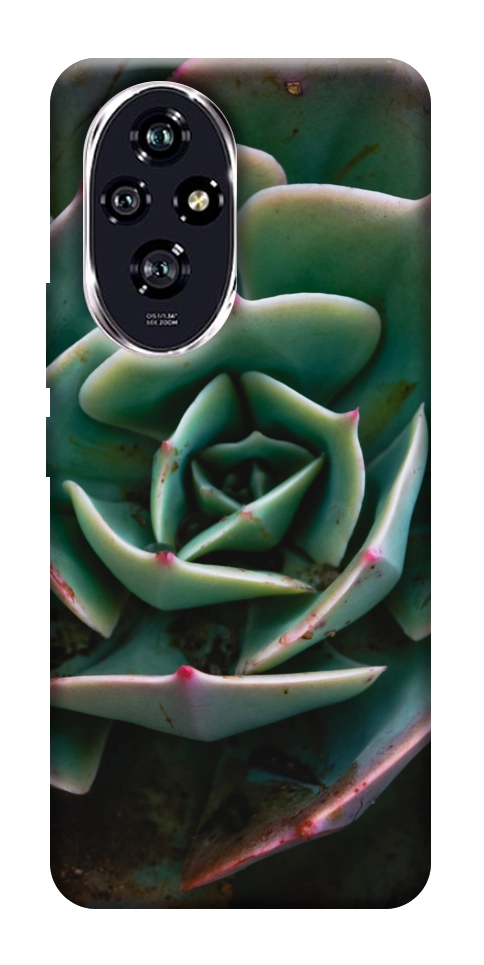 Чохол Ехеверія для Huawei Honor 200