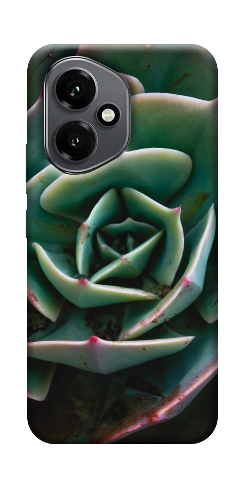 Чехол Эхеверия для Huawei Honor 400