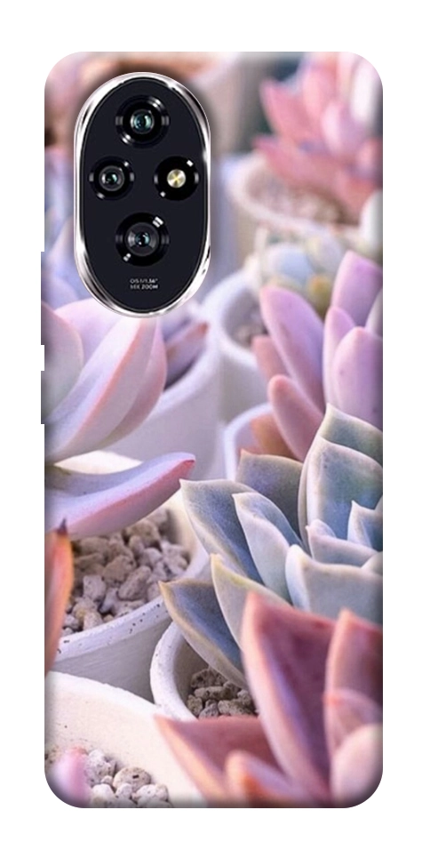 Чохол Ехеверія 2 для Huawei Honor 200