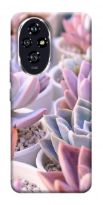 Чохол Ехеверія 2 для Huawei Honor 200