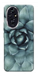 Чохол Сукуленти для Huawei Honor 200