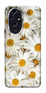 Чохол Chamomile для Huawei Honor 200