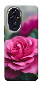 Чохол Троянда у саду для Huawei Honor 200
