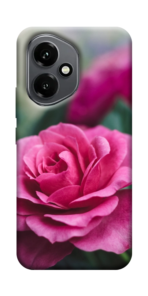Чехол Роза в саду для Huawei Honor 400