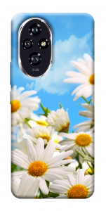 Чохол Ромашкове поле для Huawei Honor 200