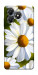 Чехол Ароматная ромашка для ZTE Blade A36