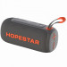 Bluetooth колонка Hopestar P64 Pro 60W (Gray)