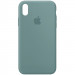 Чохол Silk Full Protective (AA) на Apple iPhone X / XS (5.8") (Зелений / Cactus)