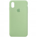 Чохол Silk Full Protective (AA) на Apple iPhone X / XS (5.8") (Зелений / Pistachio)