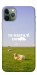 Чехол Та взагалі.... для iPhone 11 Pro
