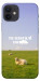 Чехол Та взагалі.... для iPhone 12