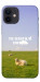 Чехол Та взагалі.... для iPhone 12 mini