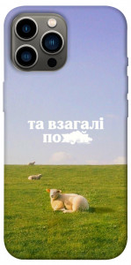 Чехол Та взагалі.... для iPhone 12 Pro Max