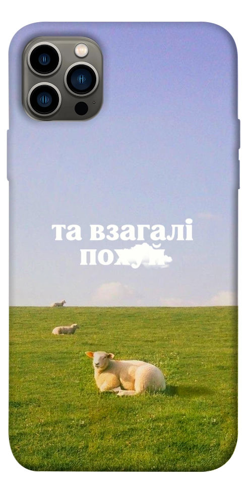 Чехол Та взагалі.... для iPhone 12 Pro