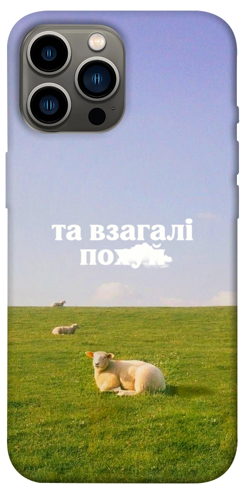 Чехол Та взагалі.... для iPhone 13 Pro Max