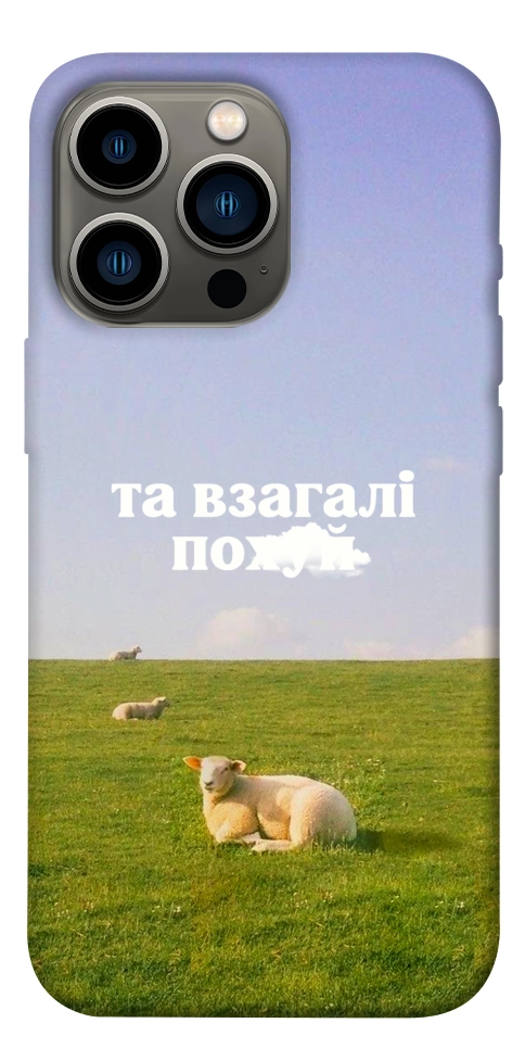 Чехол Та взагалі.... для iPhone 13 Pro