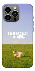 Чехол Та взагалі.... для iPhone 13 Pro