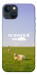 Чехол Та взагалі.... для iPhone 13