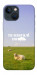 Чохол Та взагалі.... для iPhone 13 mini