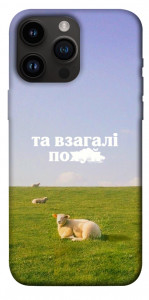 Чехол Та взагалі.... для iPhone 14 Pro Max