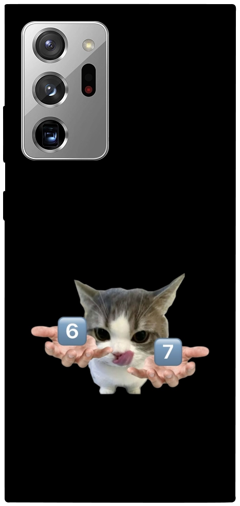 Чехол Six Seven cat для Galaxy Note 20 Ultra