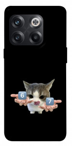 Чохол Six Seven cat для OnePlus 10T