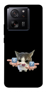Чехол Six Seven cat для Xiaomi 13T