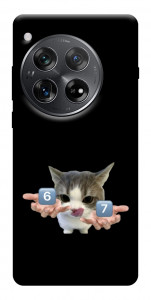 Чехол Six Seven cat для OnePlus 12