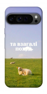 Чохол Та взагалі.... для Google Pixel 9 Pro