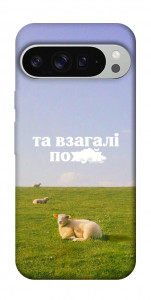 Чехол Та взагалі.... для Google Pixel 9 Pro XL