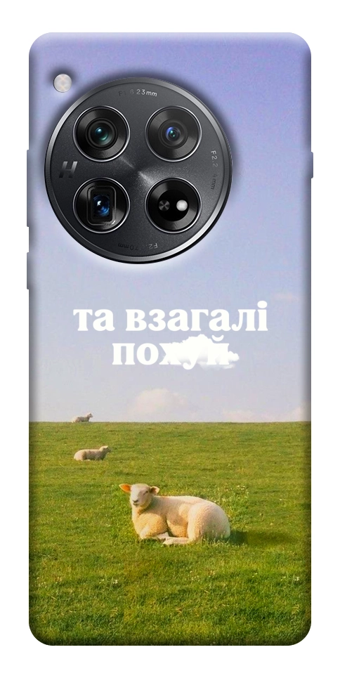 Чехол Та взагалі.... для OnePlus 12