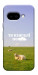 Чохол Та взагалі.... для Google Pixel 9a