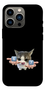 Чохол Six Seven cat для iPhone 13 Pro